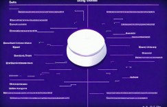 数据筑基绘智策，精构促效跃新程