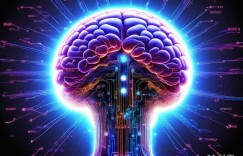 新算法赋能：SEO实战优化策略与挑战应对全解析