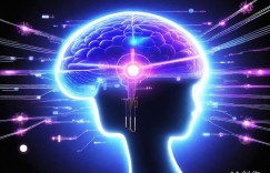 实战赋能：高效策略筑防线，强力抵御DDoS护网安