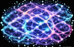 站长传媒：内容创新引领，多元战略开拓发展新路径