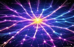 外闻速递：国际SEO新招大揭秘