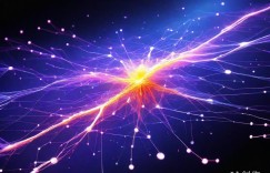 站长赋能资讯传媒，深耕垂直领域铸就专家权威