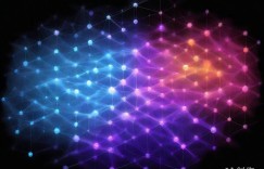 跨境新策助力站长破局增长