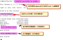 Oracle体系结构和用户管理